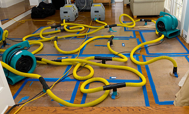 Professional Sewage Cleanup technician working in Denton, MD
